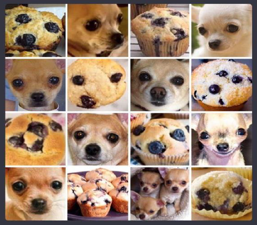 Complexité du réel pour l'IA : chihuahua ou muffin ?